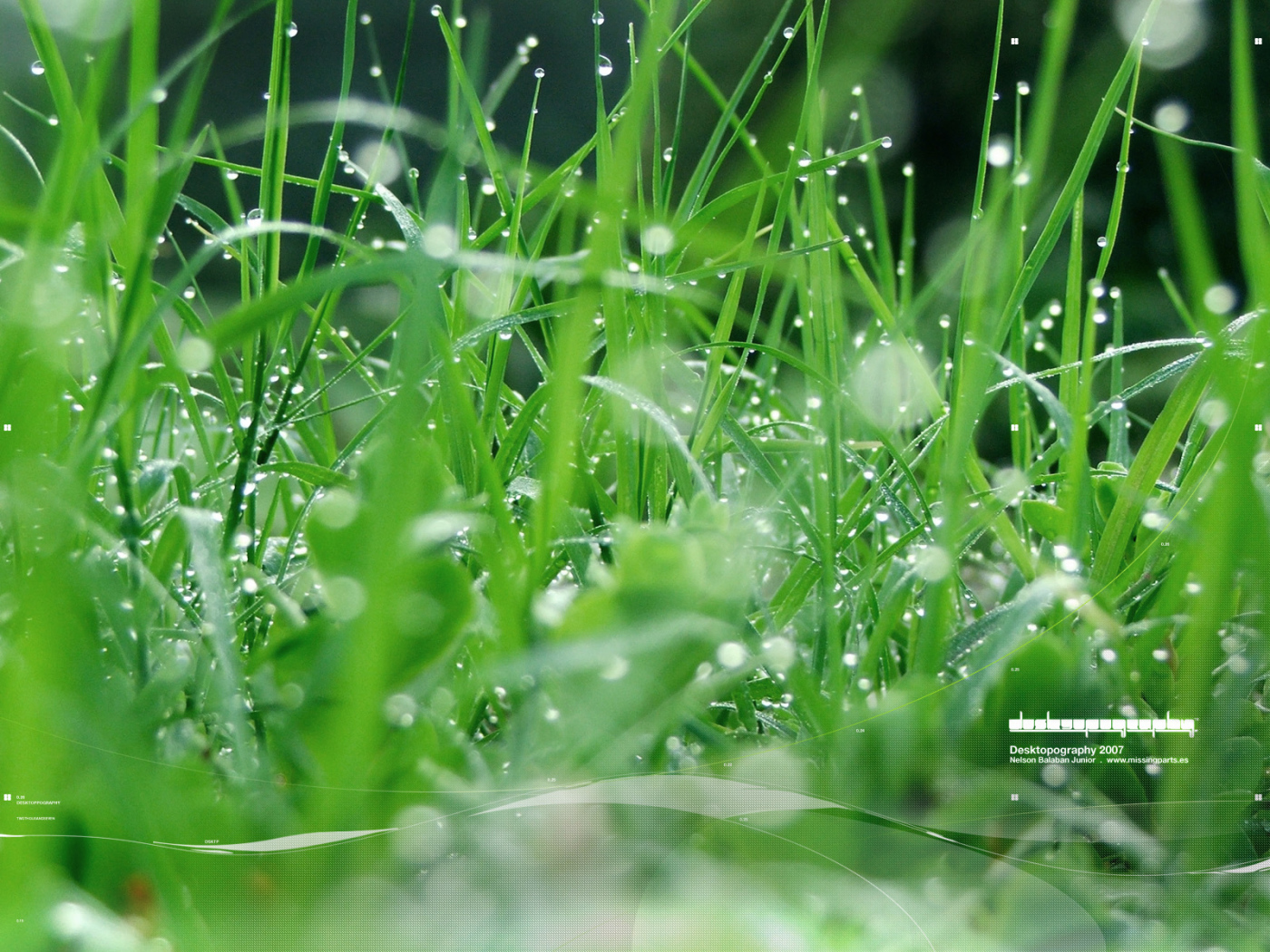 Зеленая травка