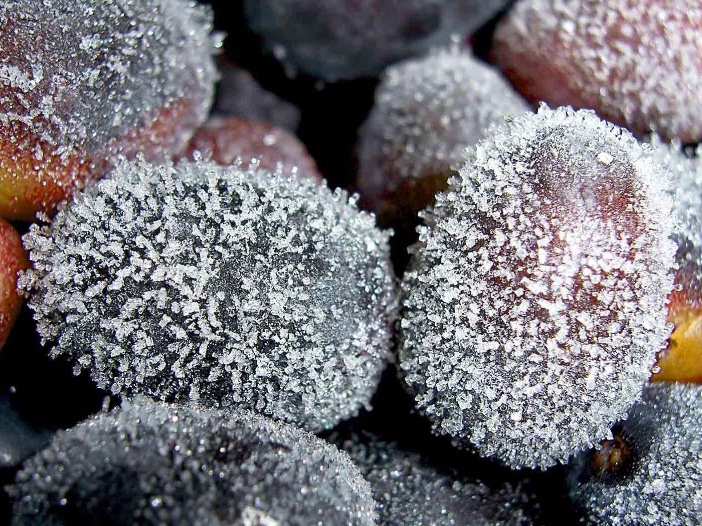 замороженный виноград