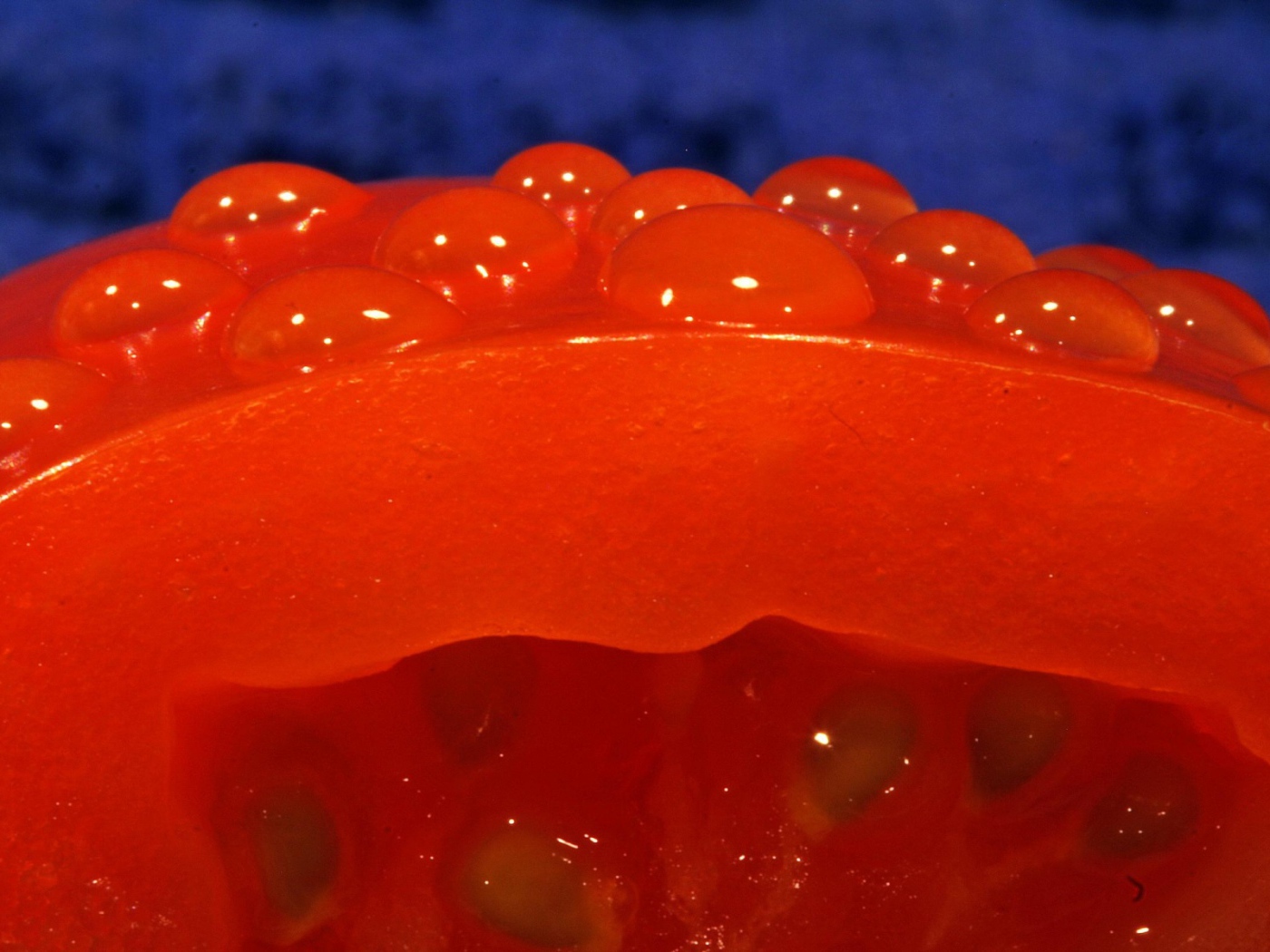 Красный помидор