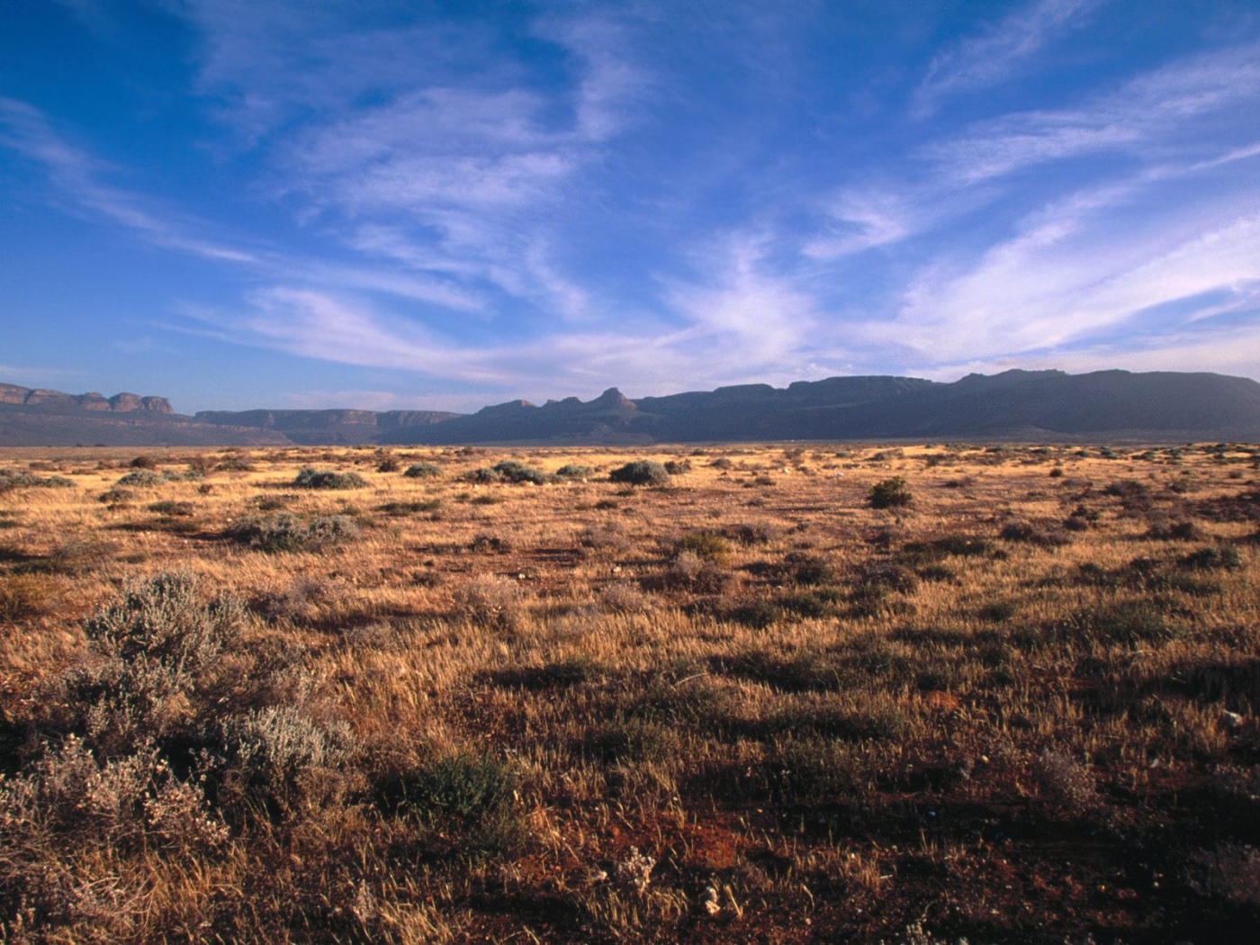Karoo - Кару / Африка