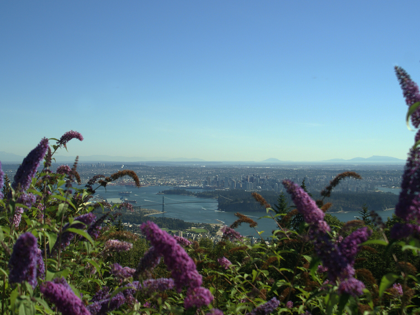 Цветочный Ванкувер