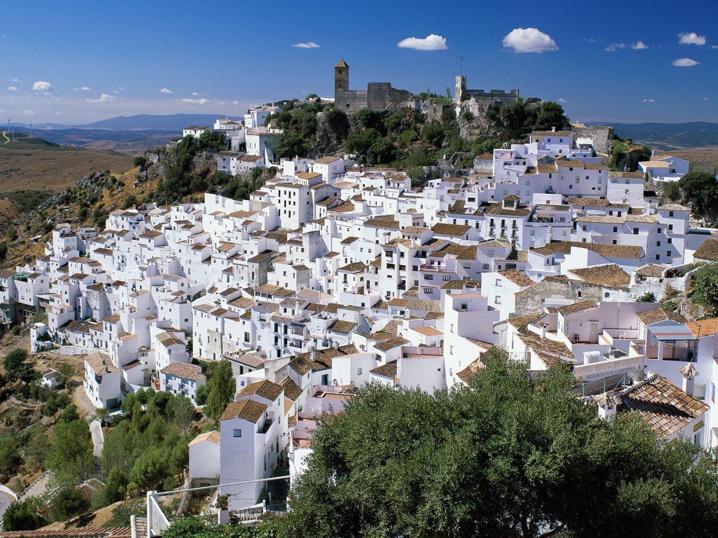 Casares