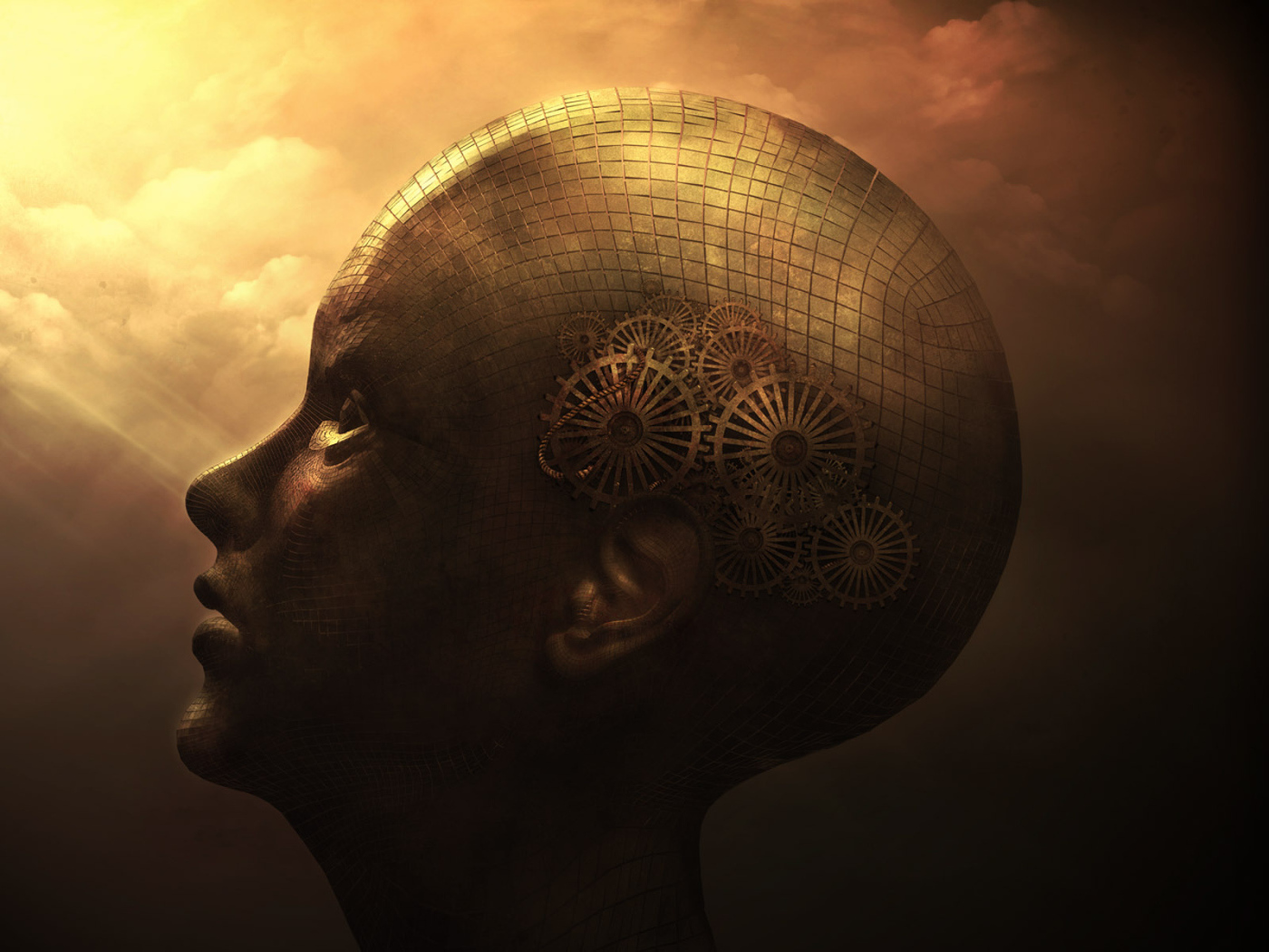 Предсказуемость