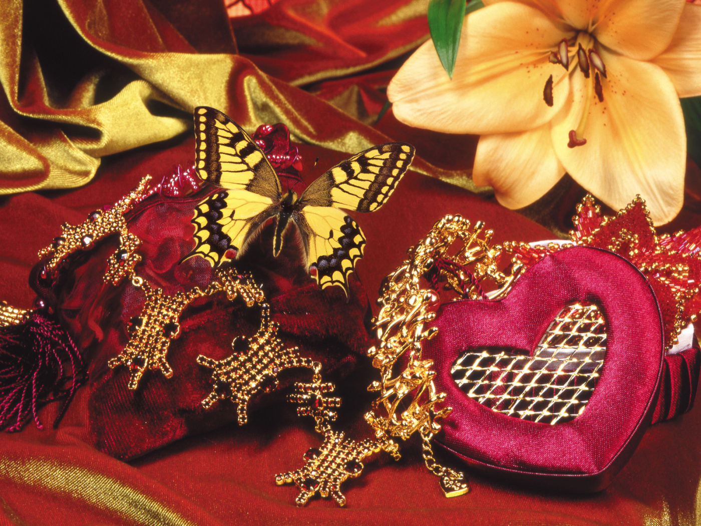 Бабочка и бархат