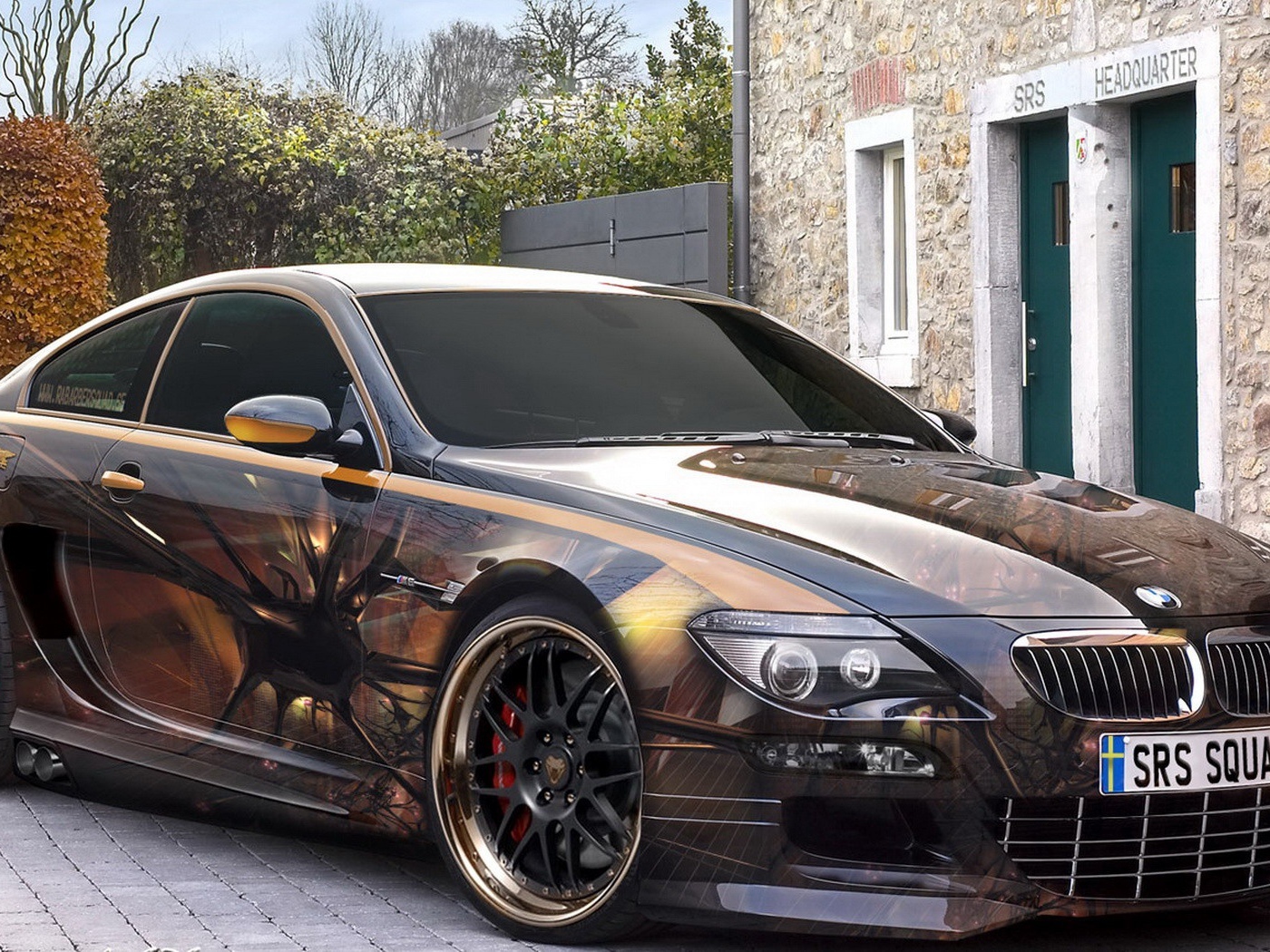 БМВ аэрография