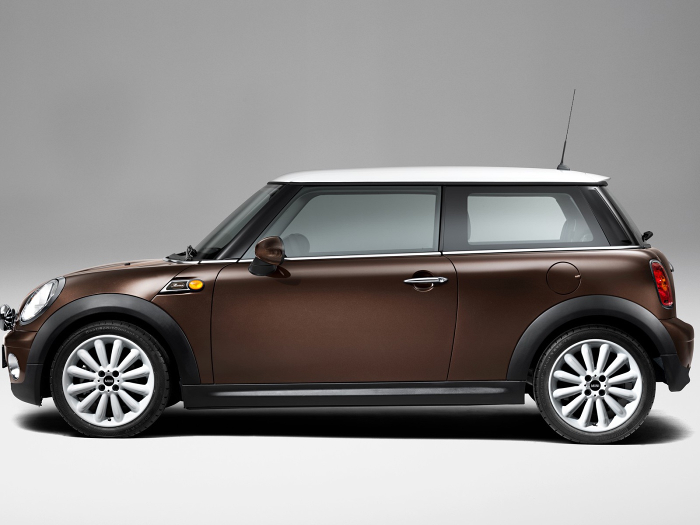 Коричневый Мини