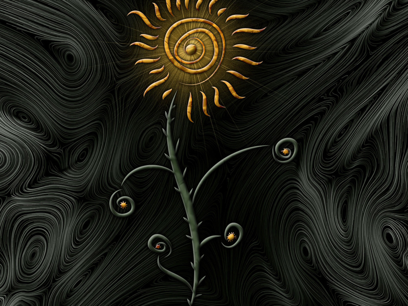 Цветок солнца