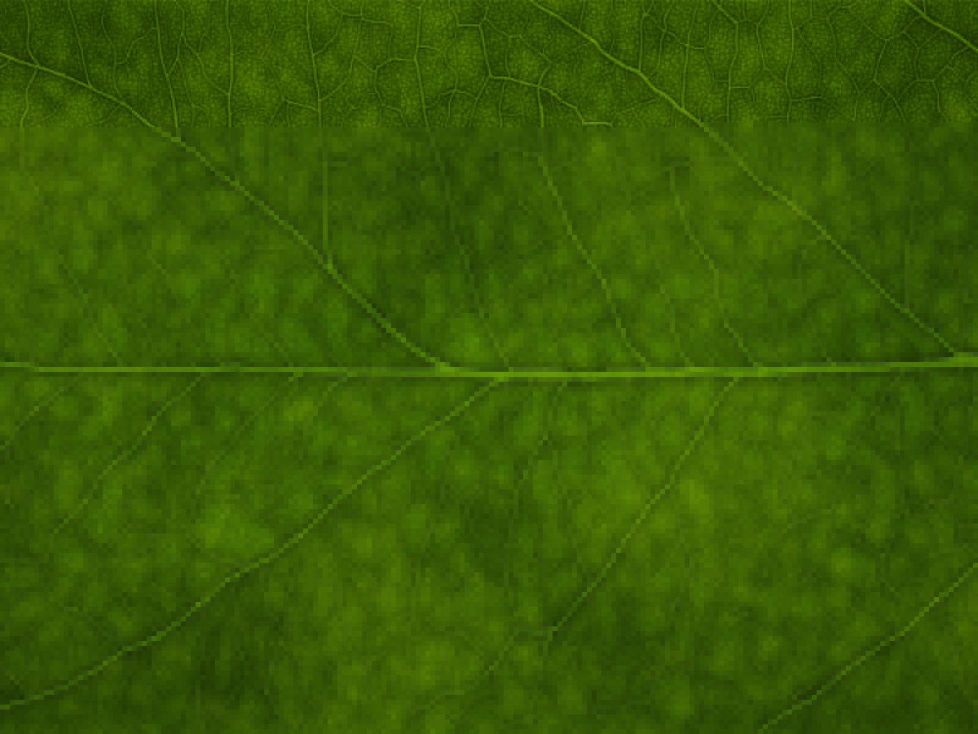 Зеленая листва