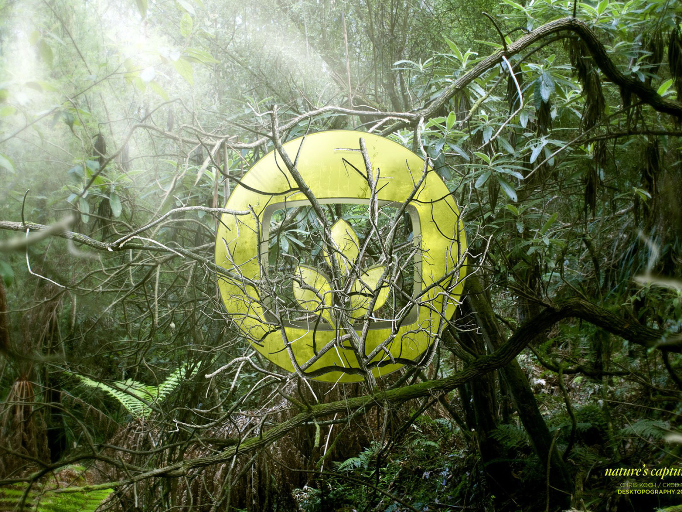 Природный логотип