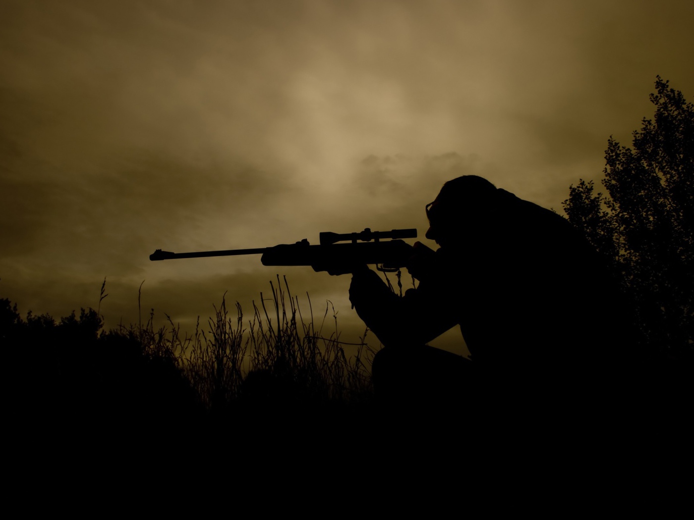 Ночной снайпер