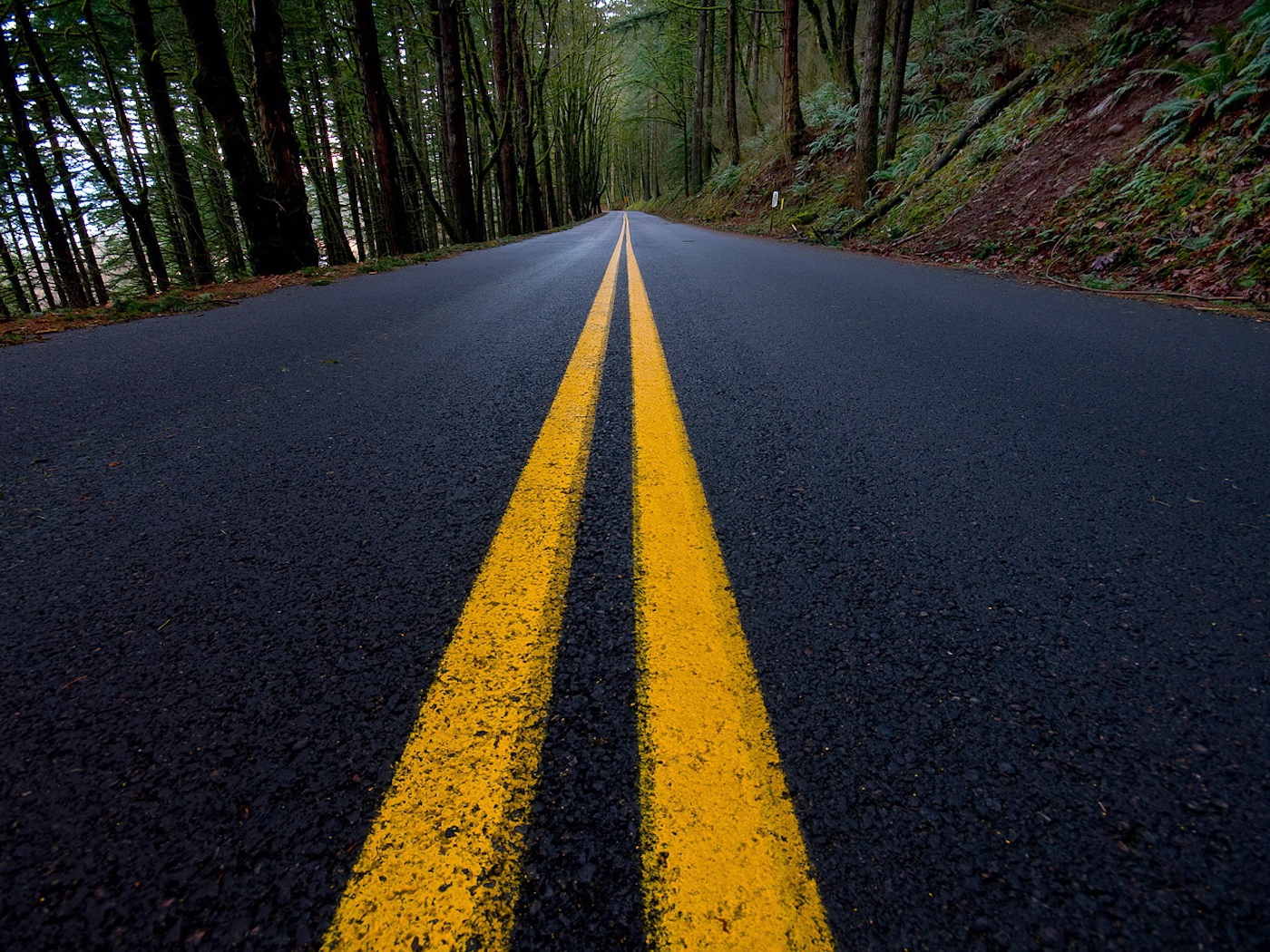 Сплошная линия