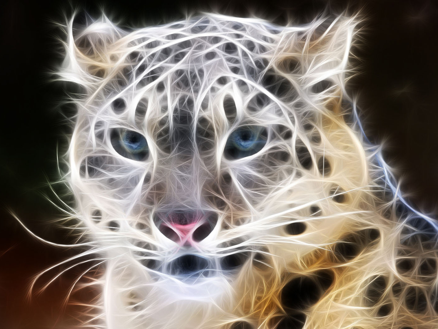 Взгляд хищника