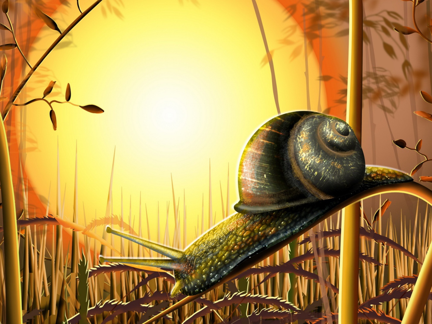 Улитка под солнцем