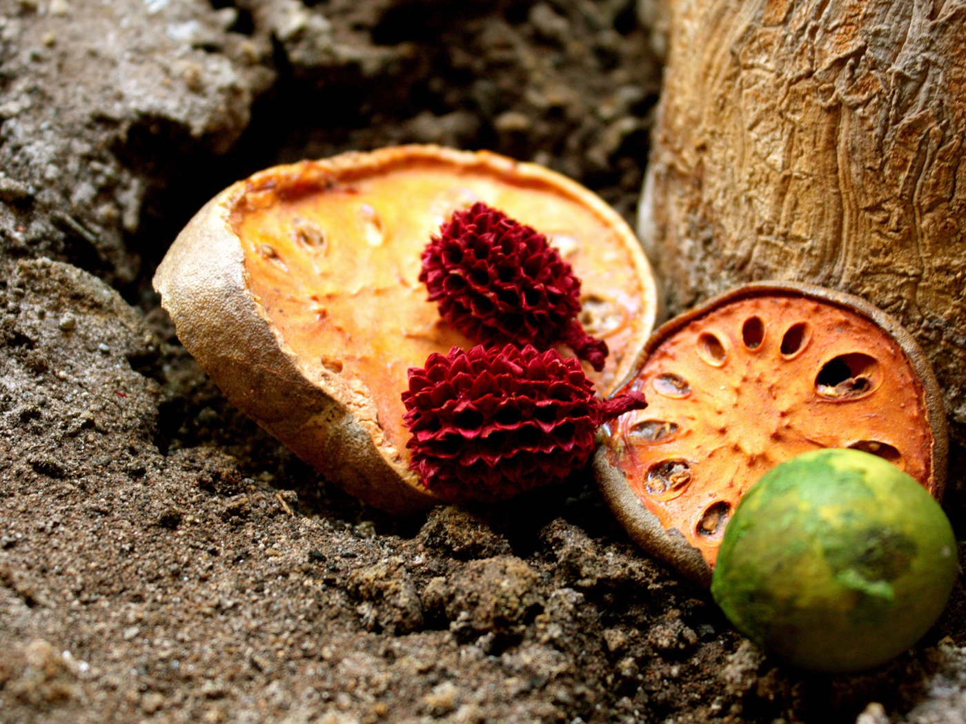 Сушеные фрукты