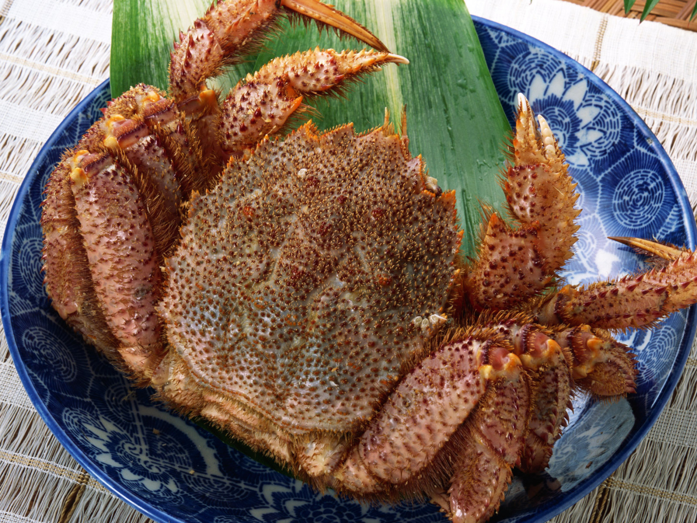 Колючий краб