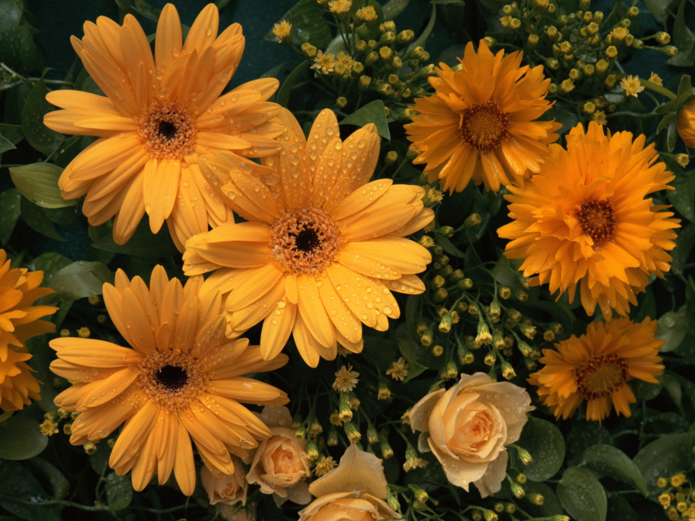 Цветы любимой женщине