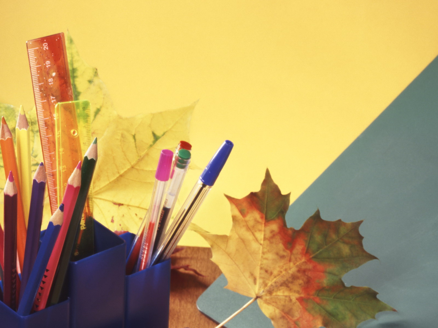 Новый учебный год