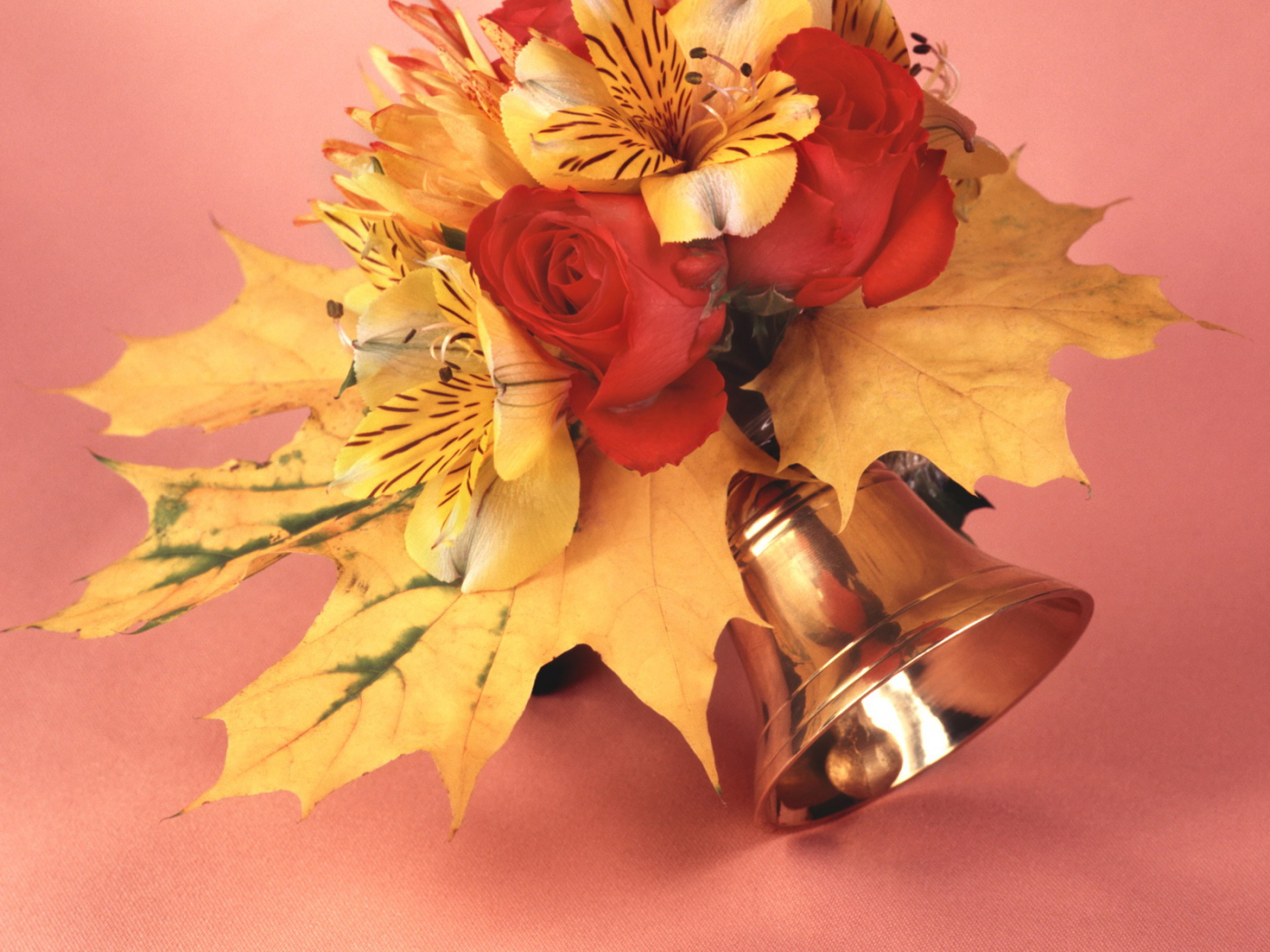 Первый день осени