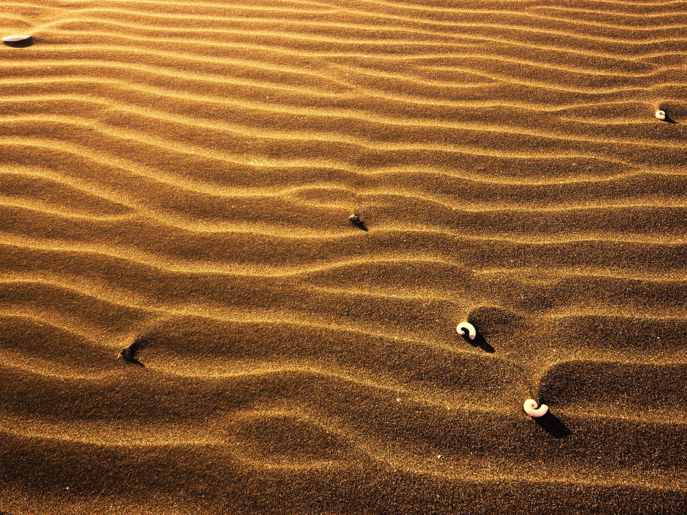 Пляжный песок