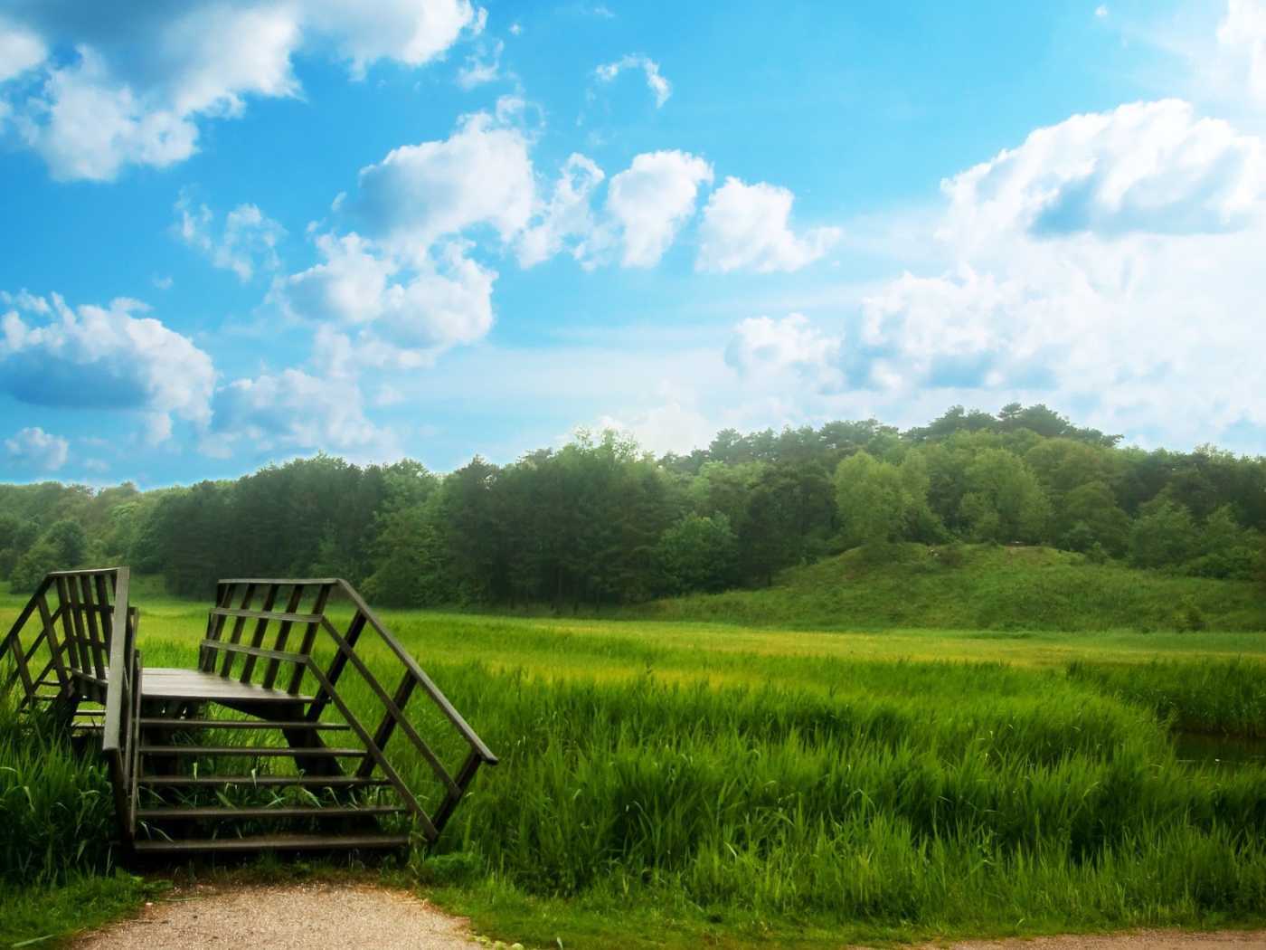 Зеленый мост