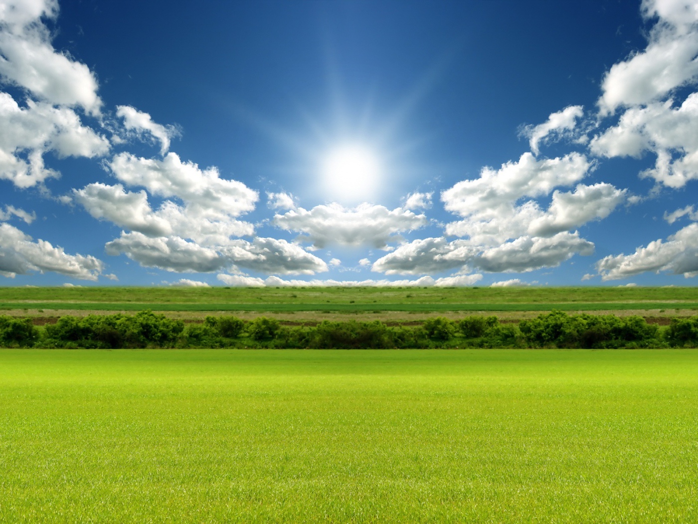 Зеленое поле под лазурным небом
