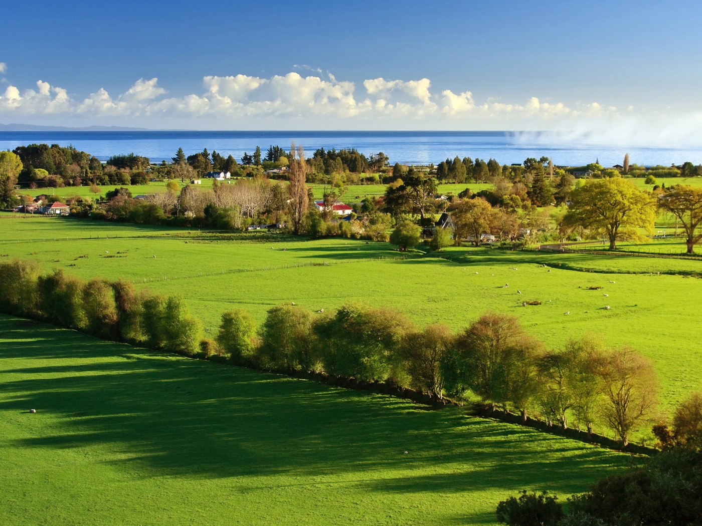 Утро в деревне