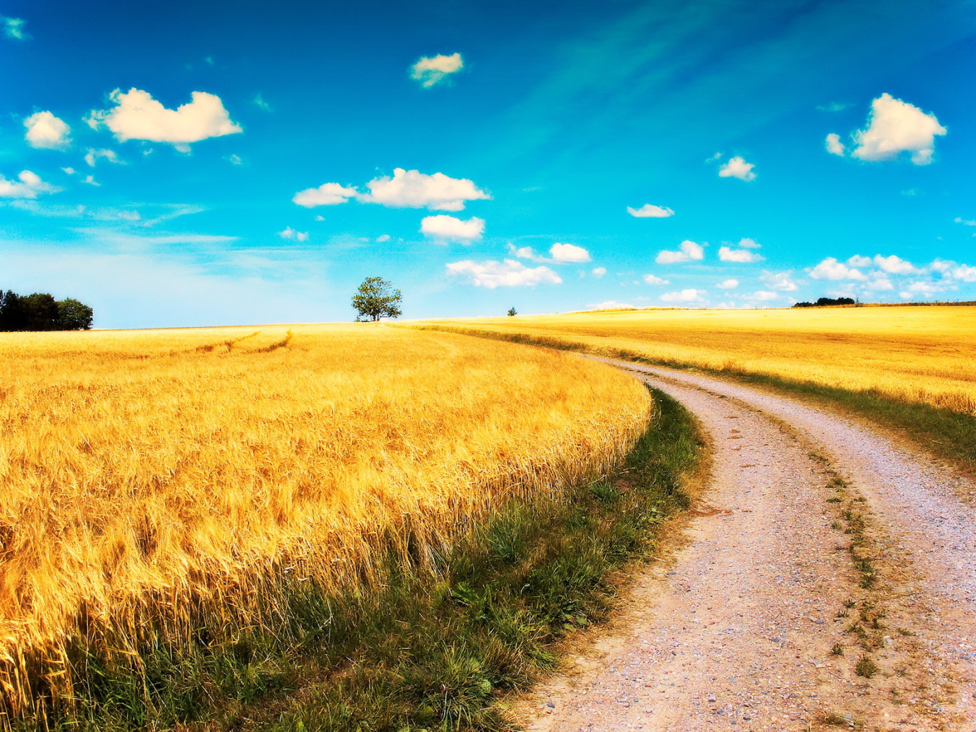 Дорога среди полей