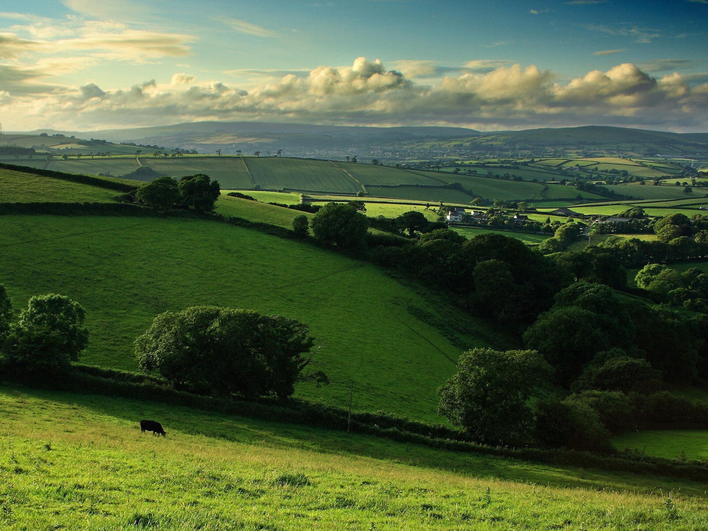 Деревенские поля