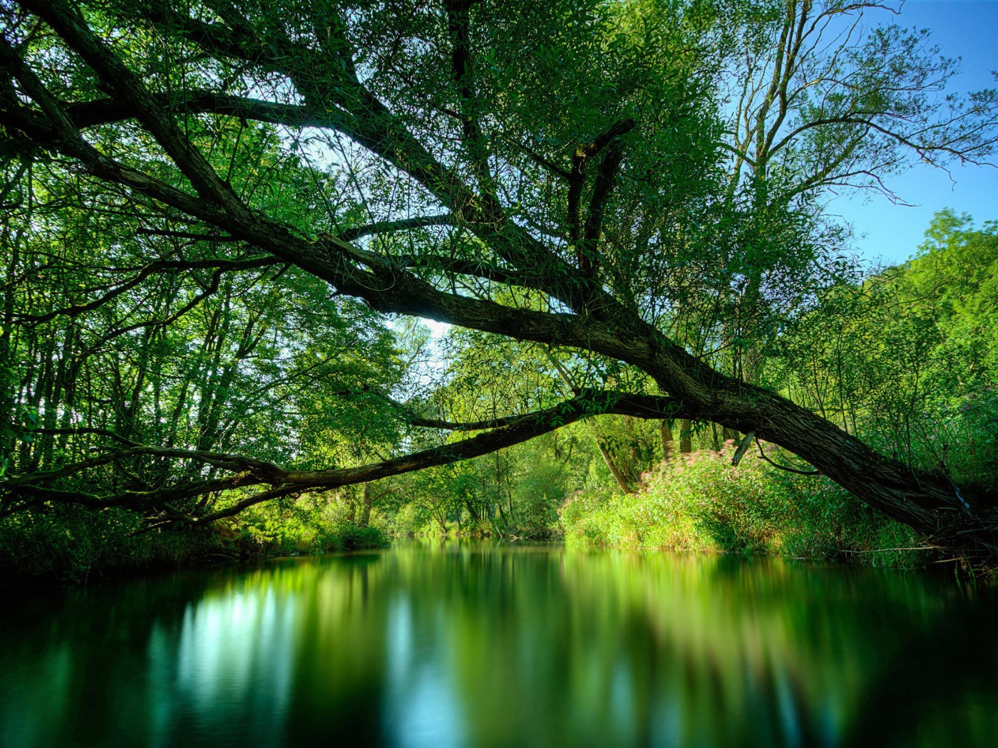 Зеленая лесная река