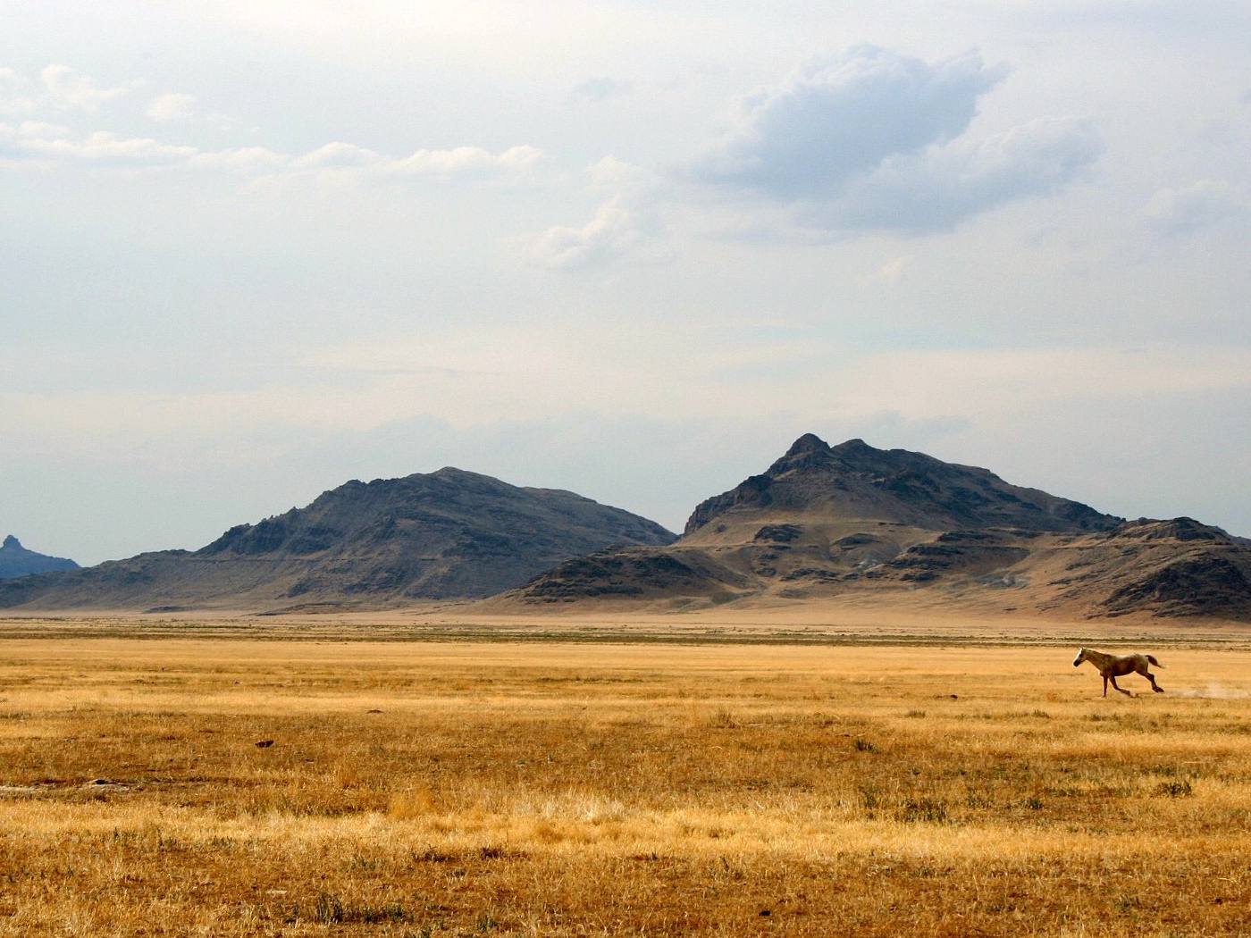 Дикий Запад
