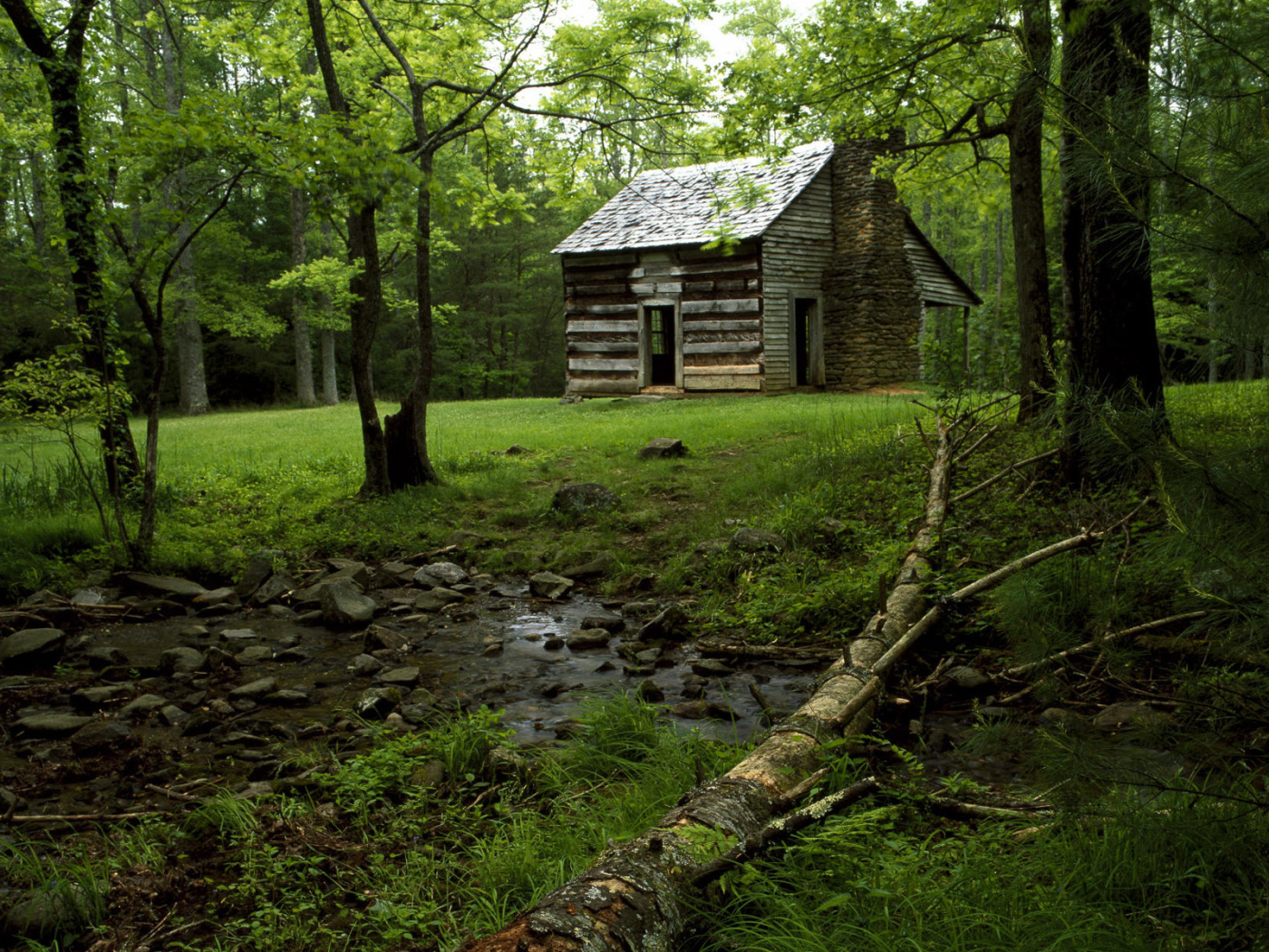 Дом на лесной поляне