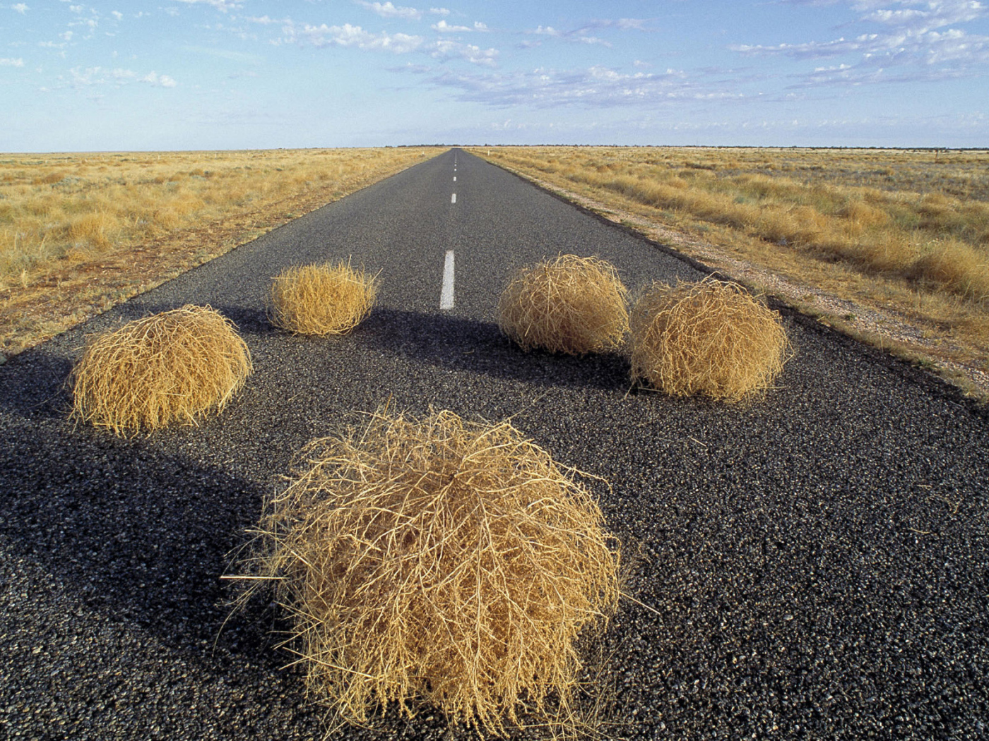 Дорога через пустыню