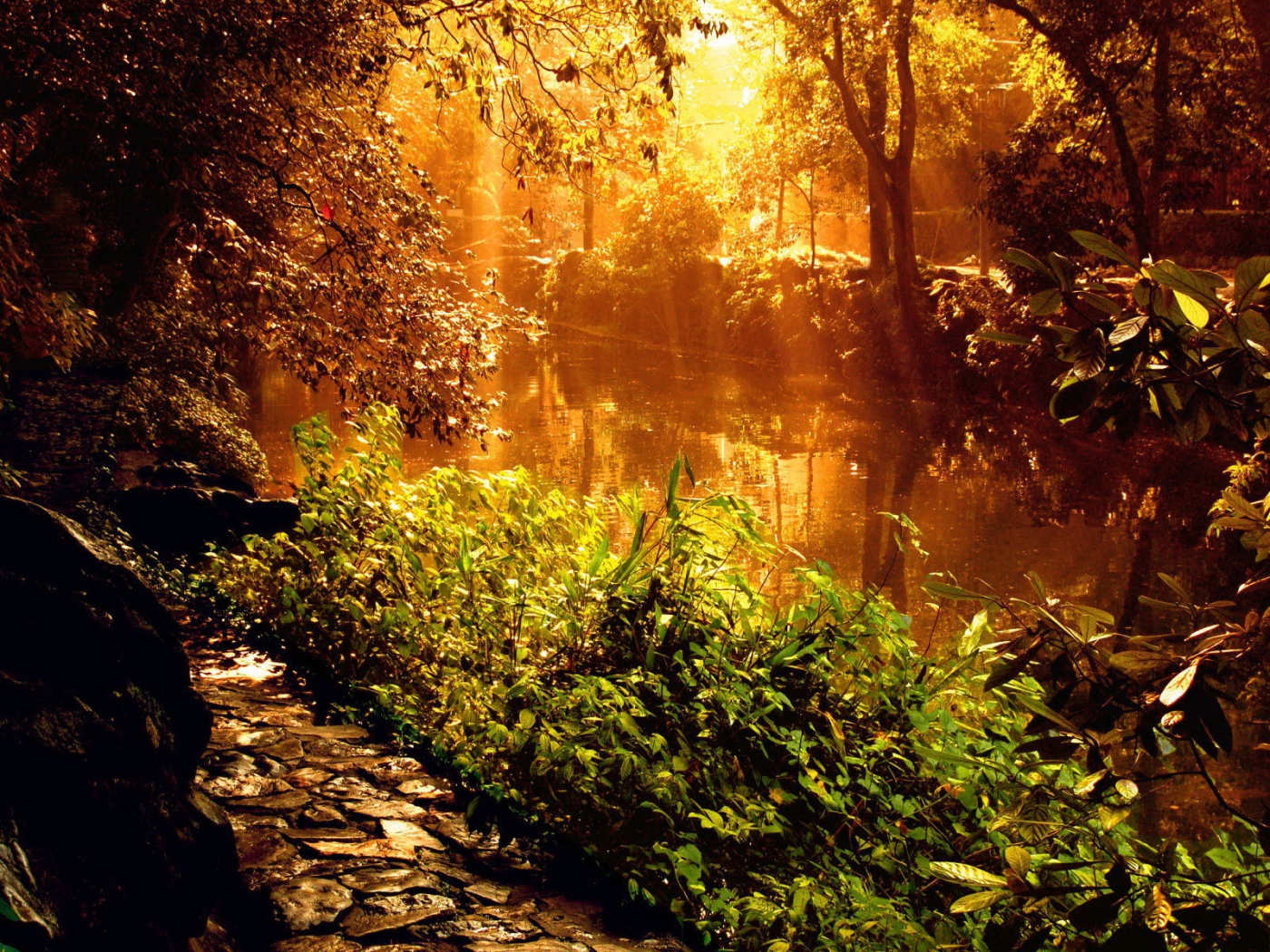 Красивый закат у лесной реки