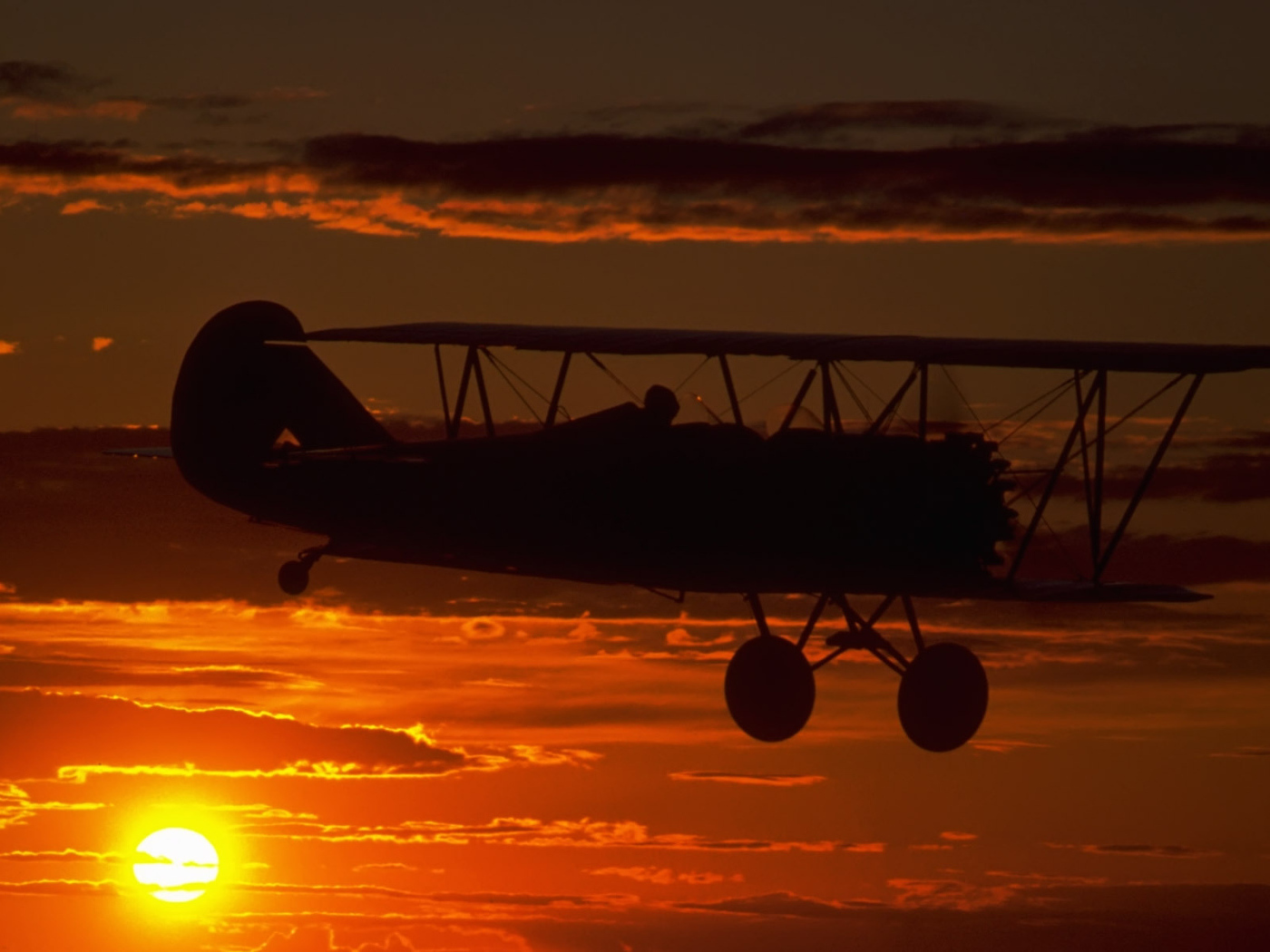 Полет на закате дня