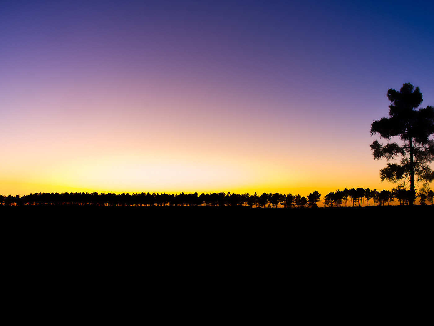 Последний луч света