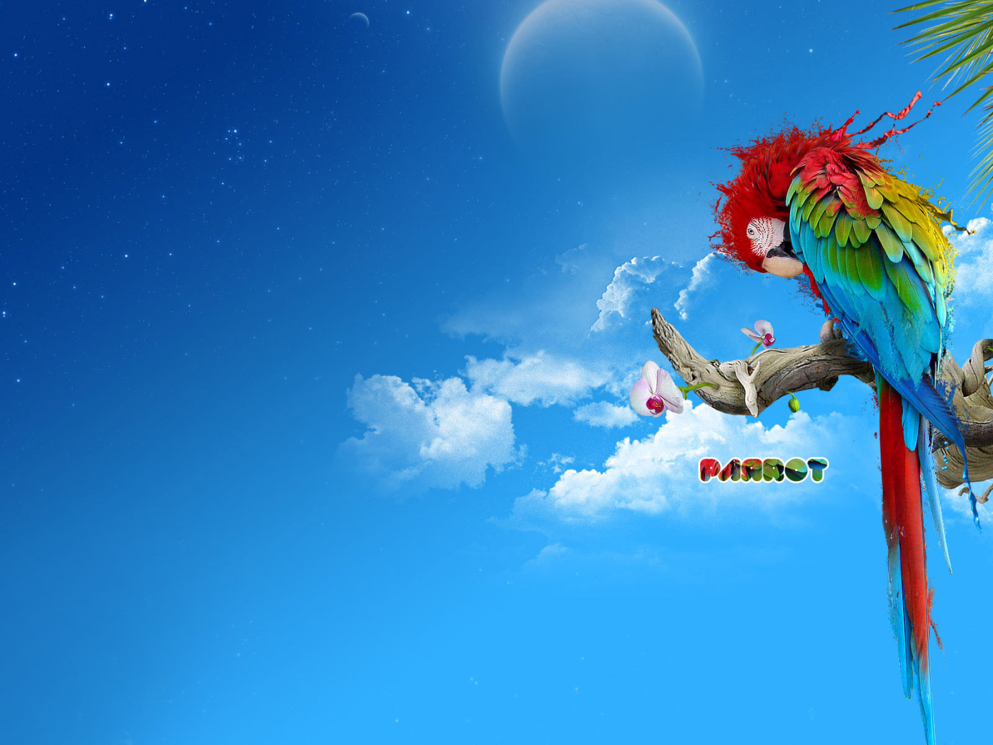 Яркий попугай