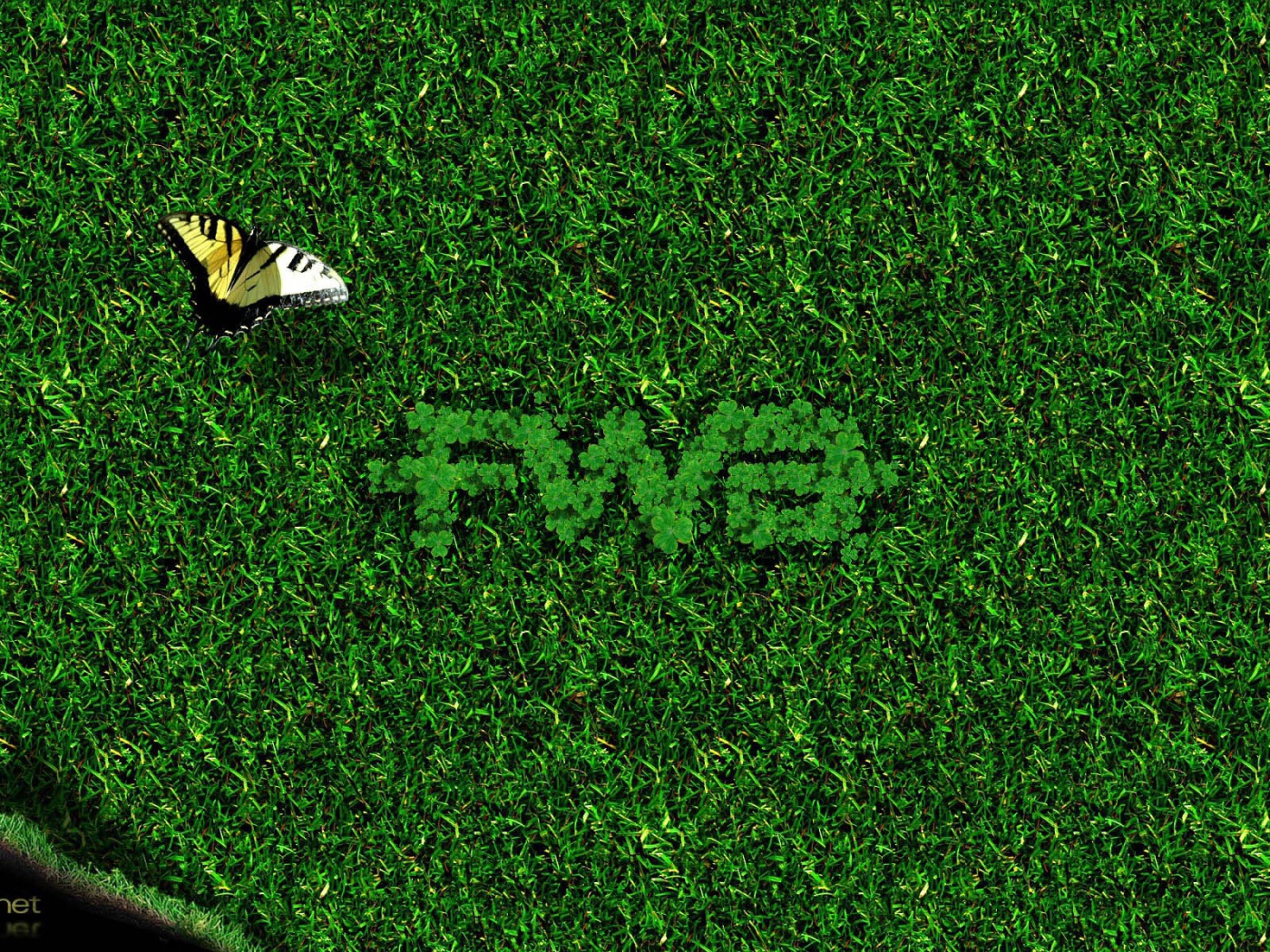 Бабочка на зеленой траве