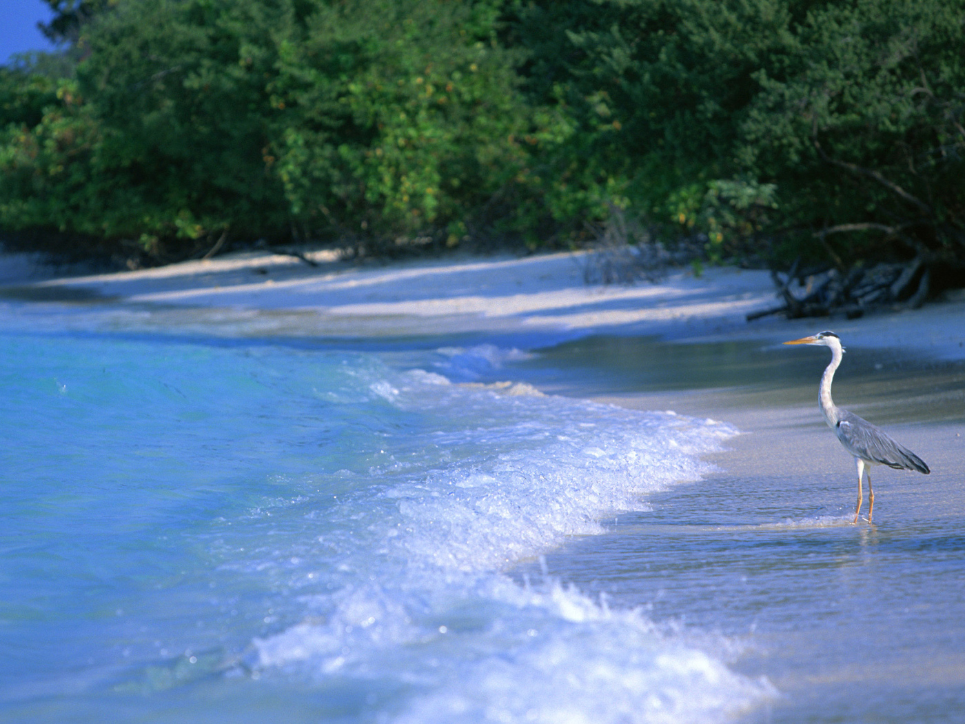 Курорт Мальдивы