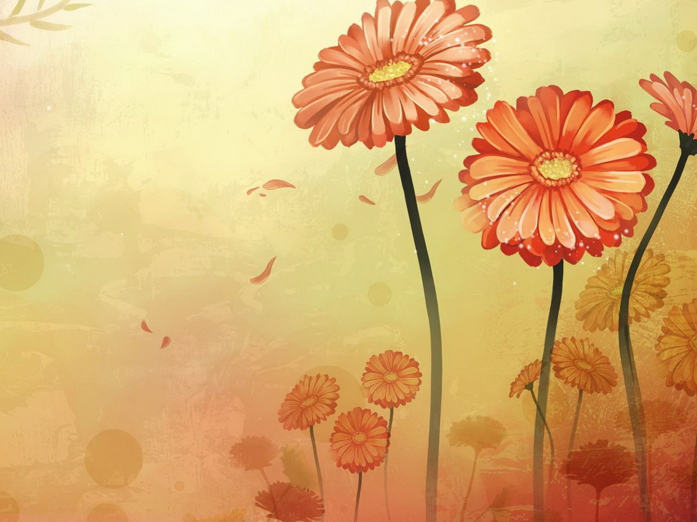 Оранжевые цветы