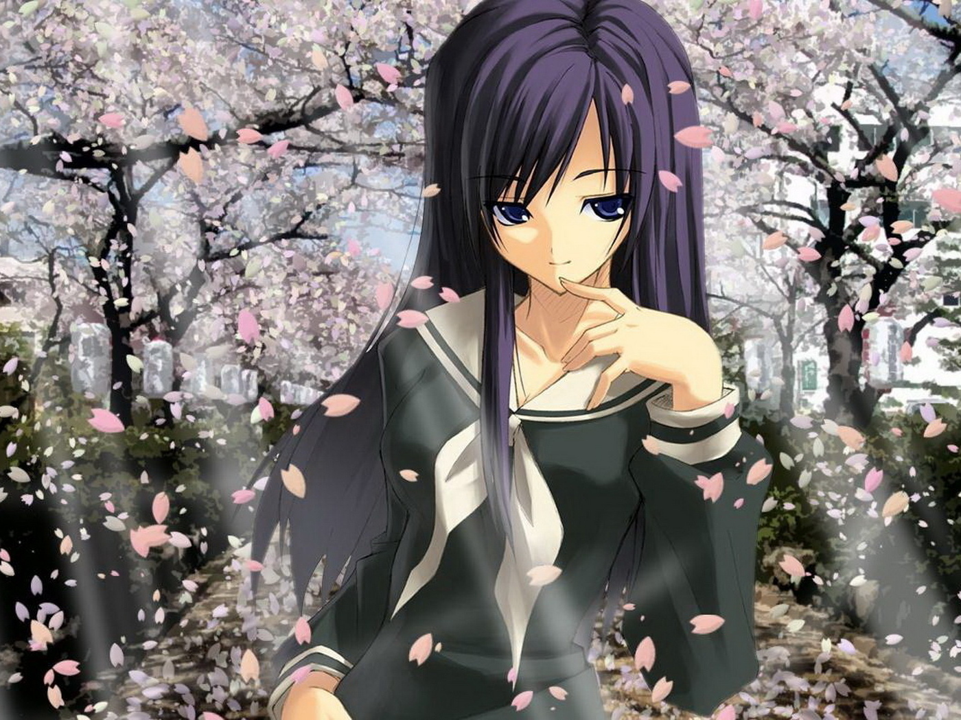 В цвете сакуры