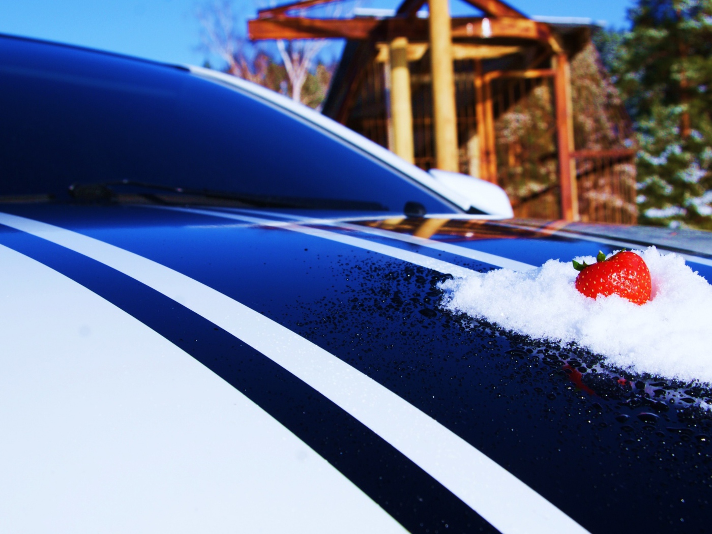 Клубника на капоте