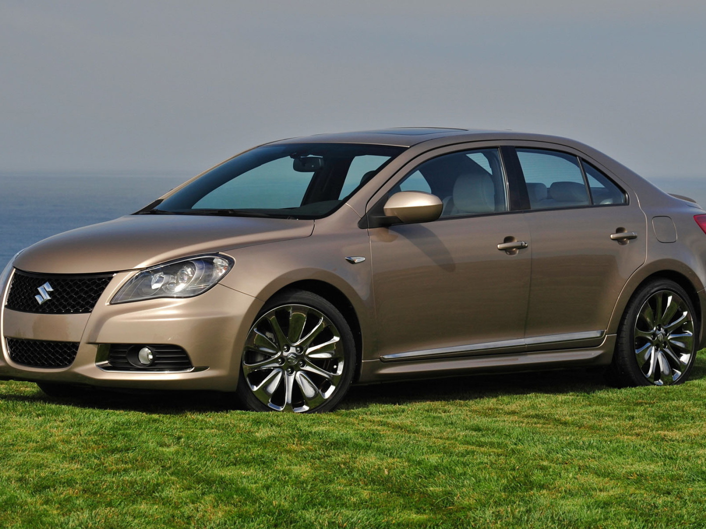 Сузуки Кизаши на газоне среди зелени