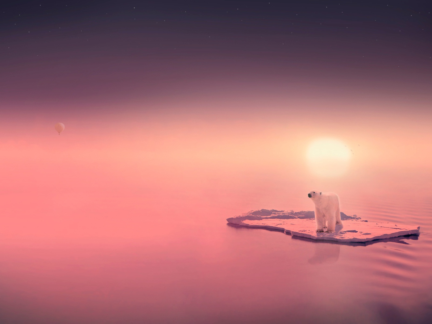 Медведь путешественник