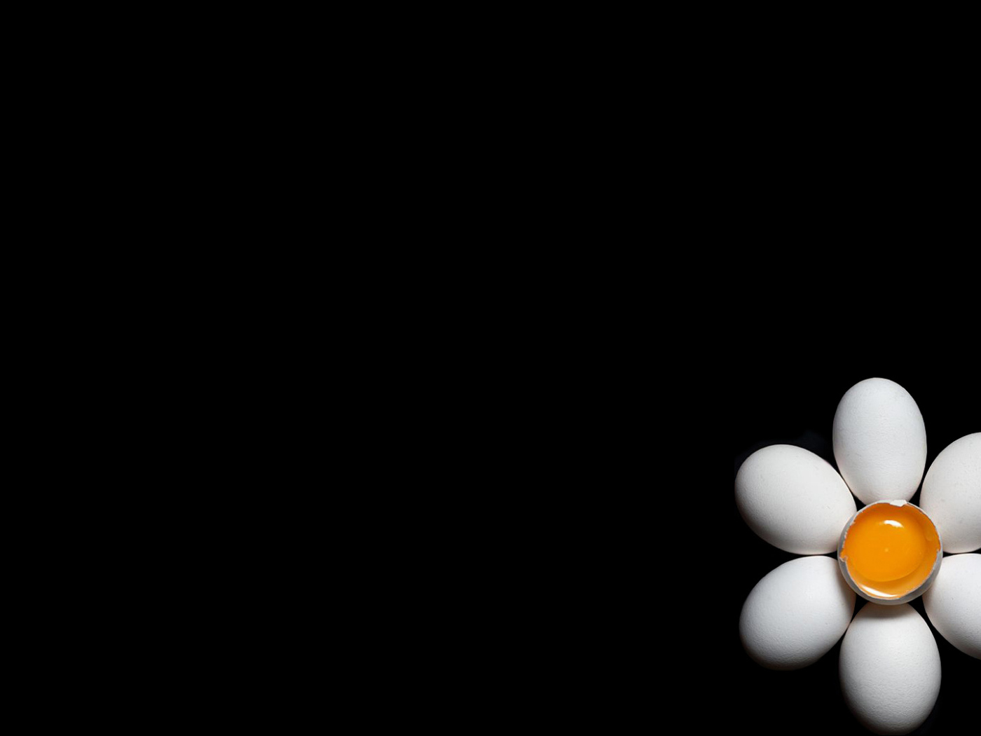 Ромашка из куриных яиц