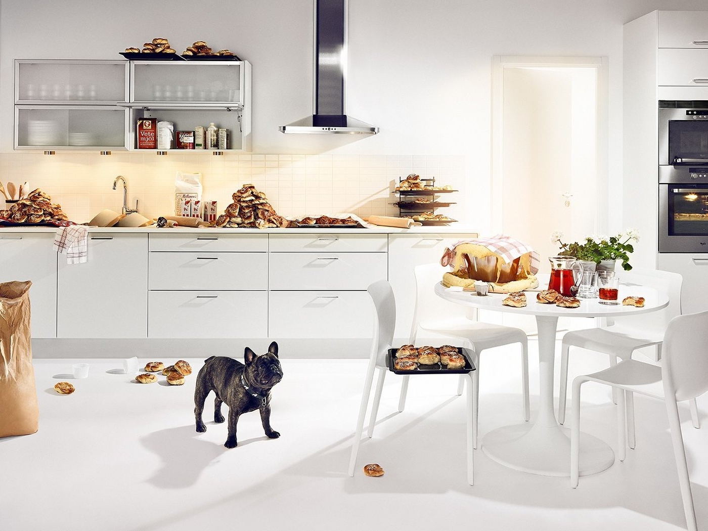 Собачье счастье