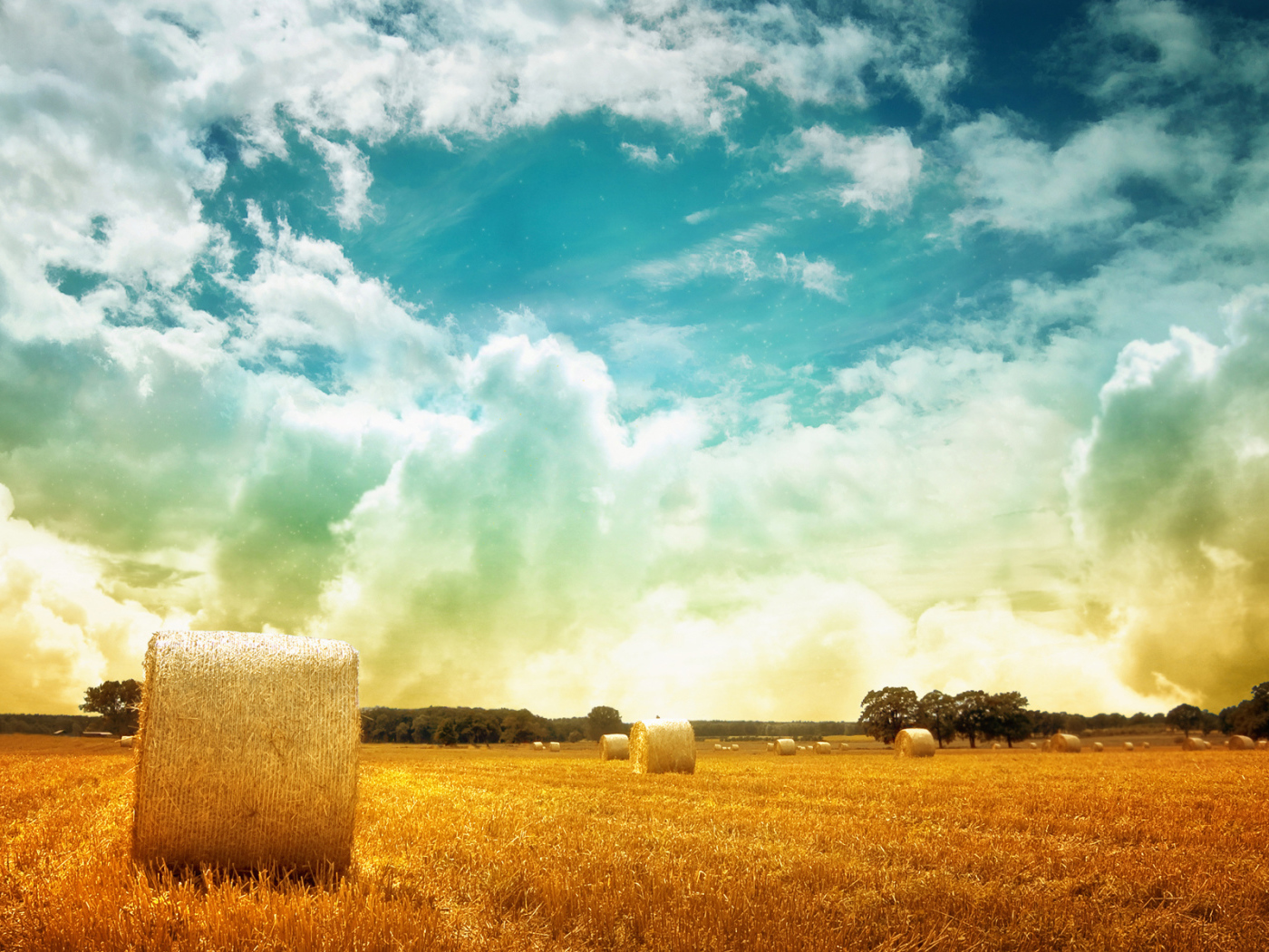 Тюки сена на поле