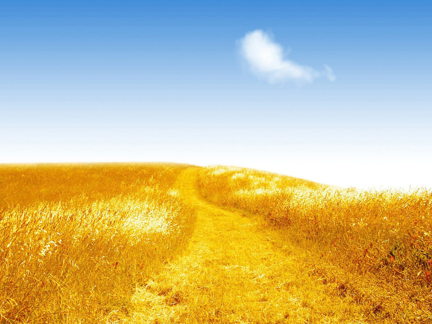 Золотистое поле