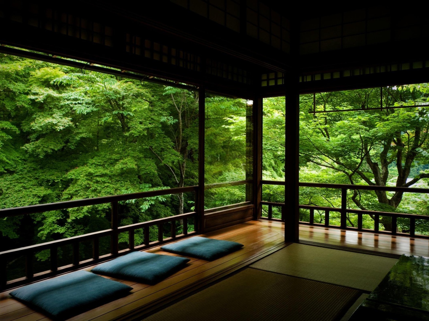 Среди лесной зелени