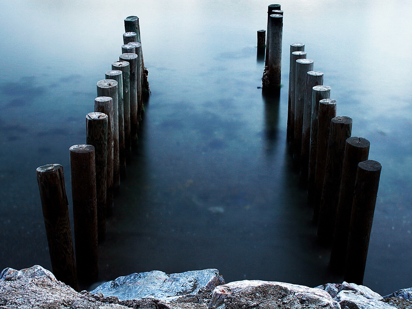 Бревна в воде