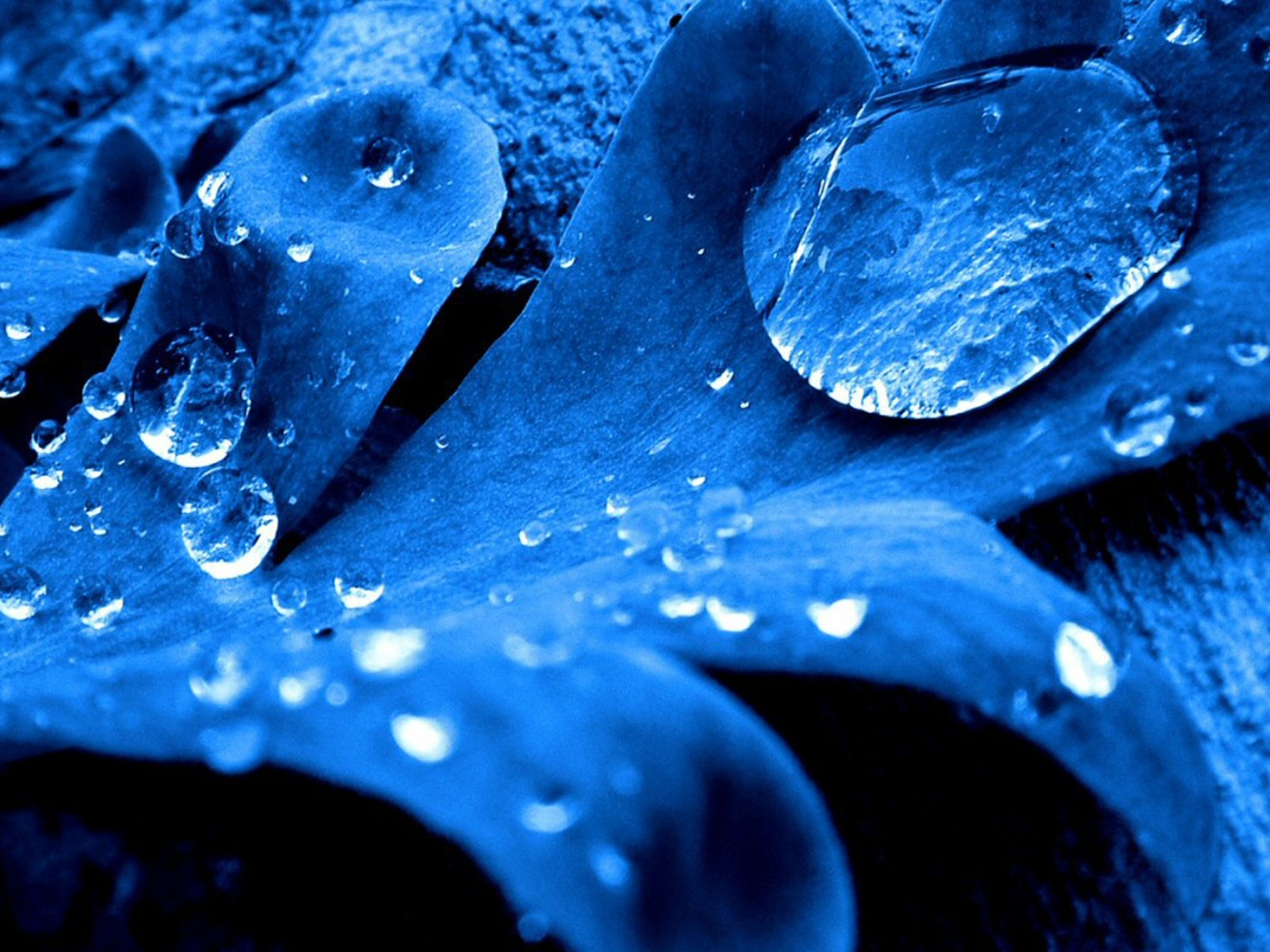 Синий листок